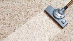 Carpet-Cleaning-Services-Near-You